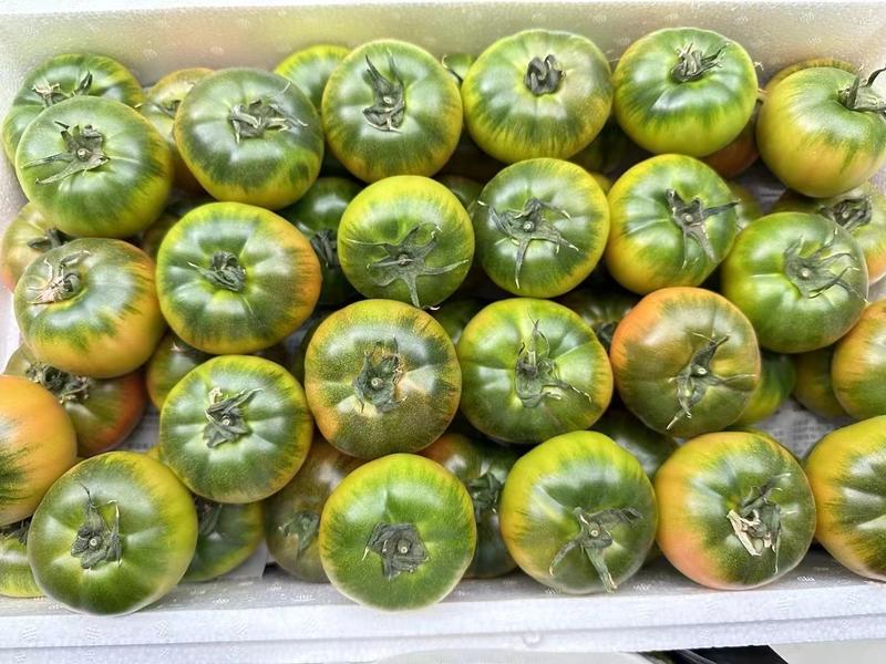 【推荐】水果番茄铁皮柿子草莓西红柿供应市场商超电商