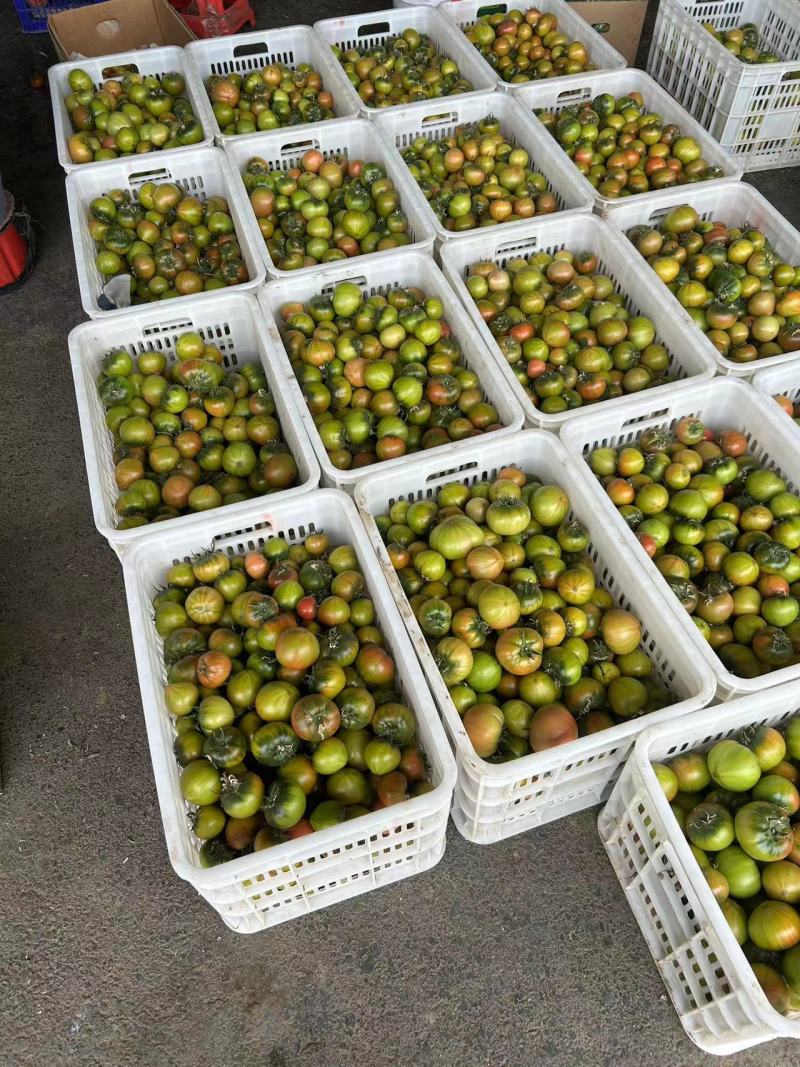 【推荐】水果番茄铁皮柿子草莓西红柿供应市场商超电商