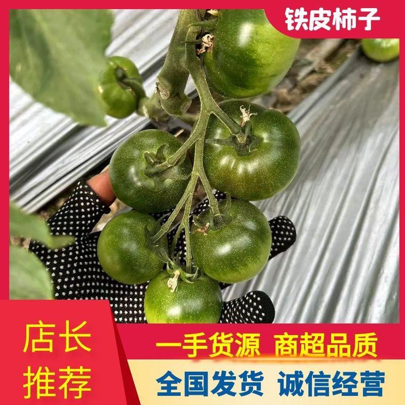【推荐】铁皮柿子草莓西红柿供应市场商超电商量大价优