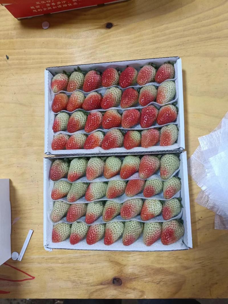 云南夏季草莓🍓