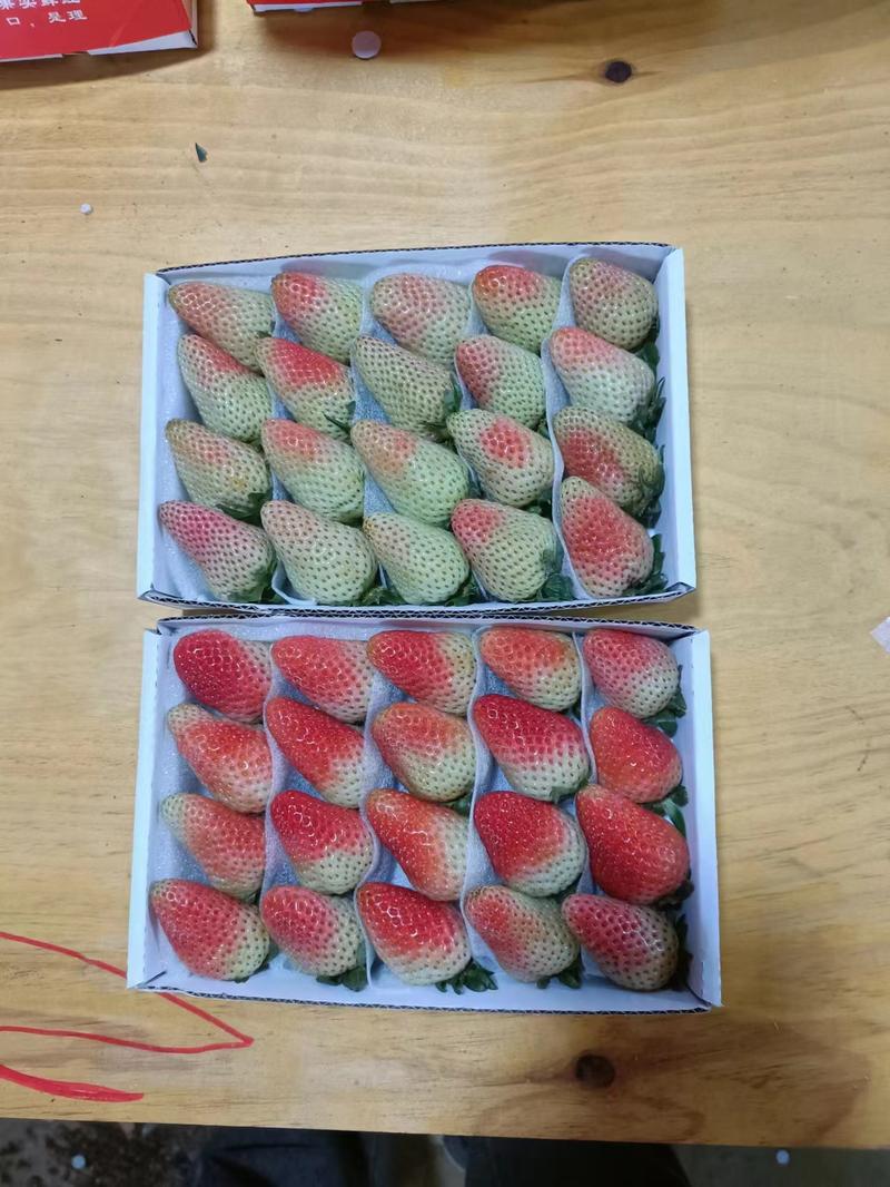 云南夏季草莓🍓