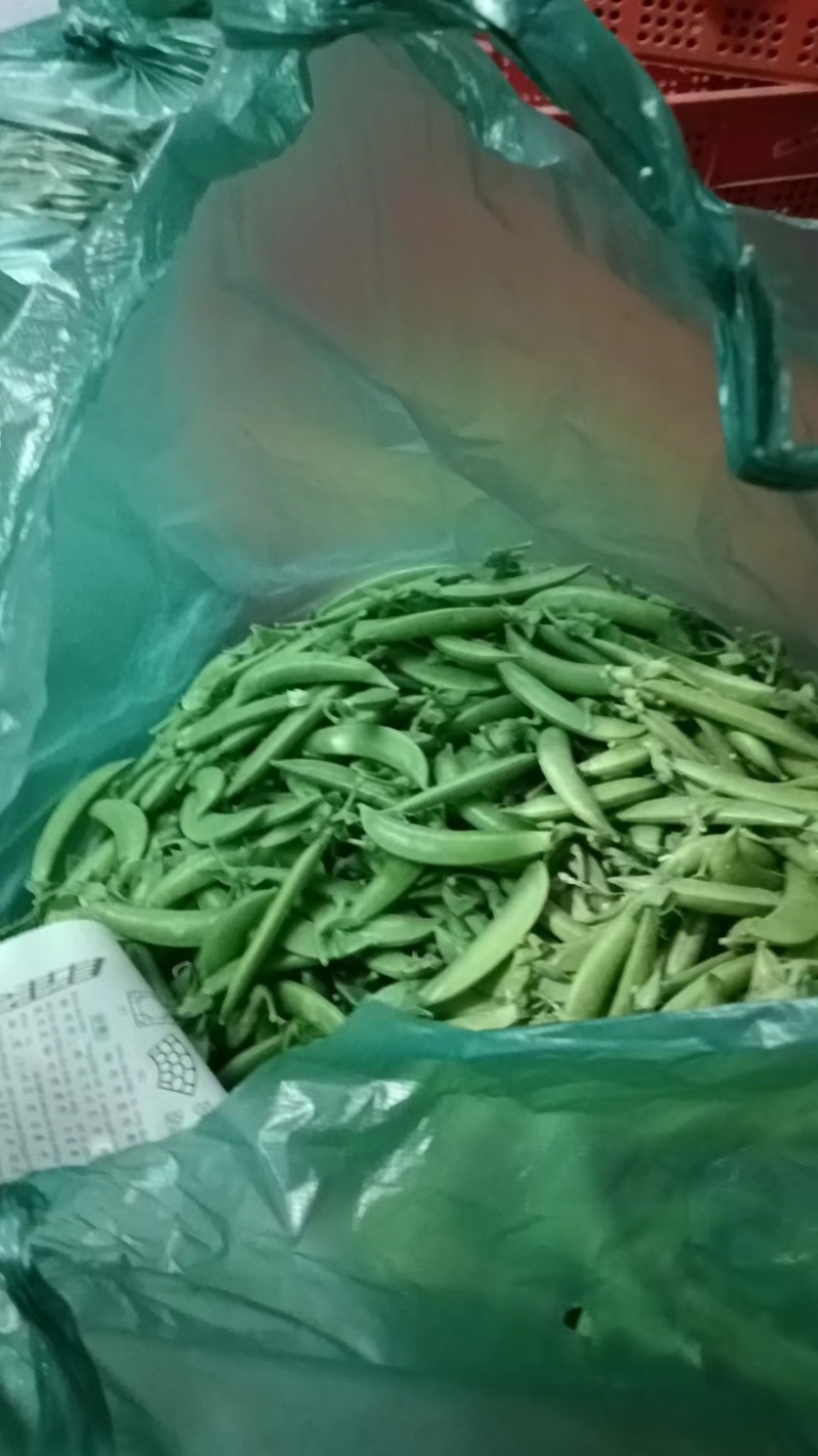 精品甜豆豌豆产地直发保质保量供应电商超市市场