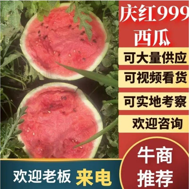 西瓜/东北地雷瓜/庆红999/通辽西瓜/无籽西瓜/