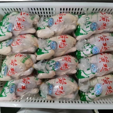 冷冻三黄鸡