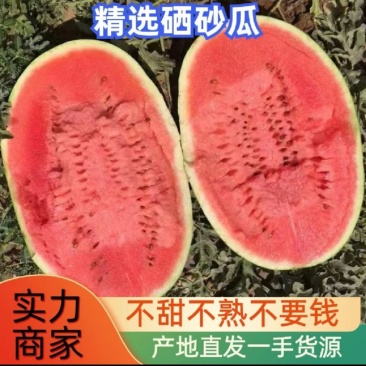西瓜/硒砂瓜/金城5号西瓜/石头瓜/新疆西瓜量大从优