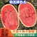 西瓜/硒砂瓜/金城5号西瓜/石头瓜/新疆西瓜量大从优