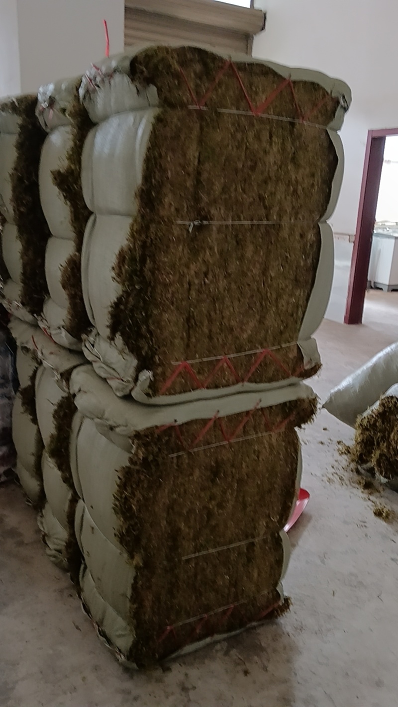 青苔十公斤定量包一手货源杂草少散装统货