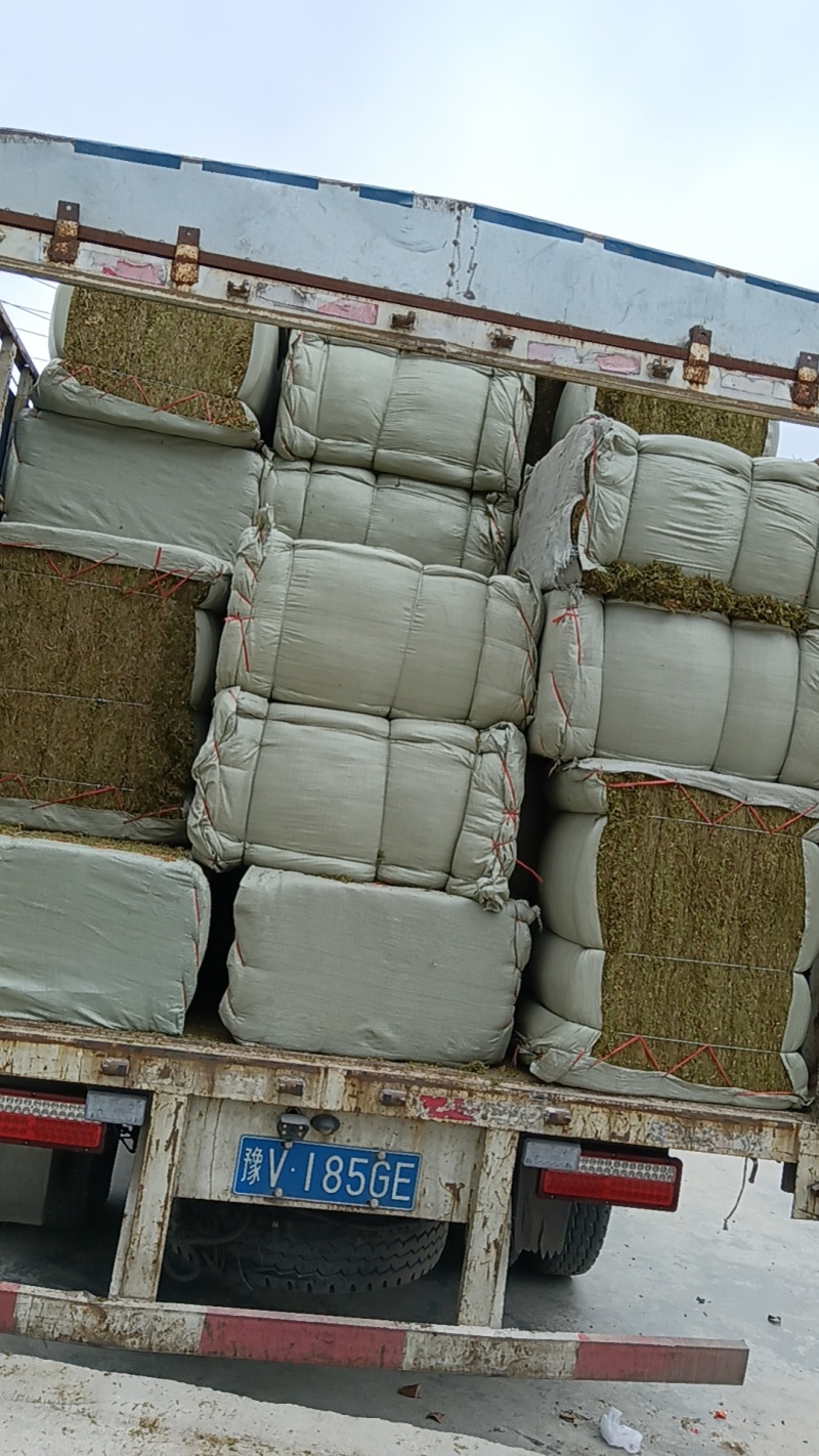 青苔十公斤定量包一手货源杂草少散装统货