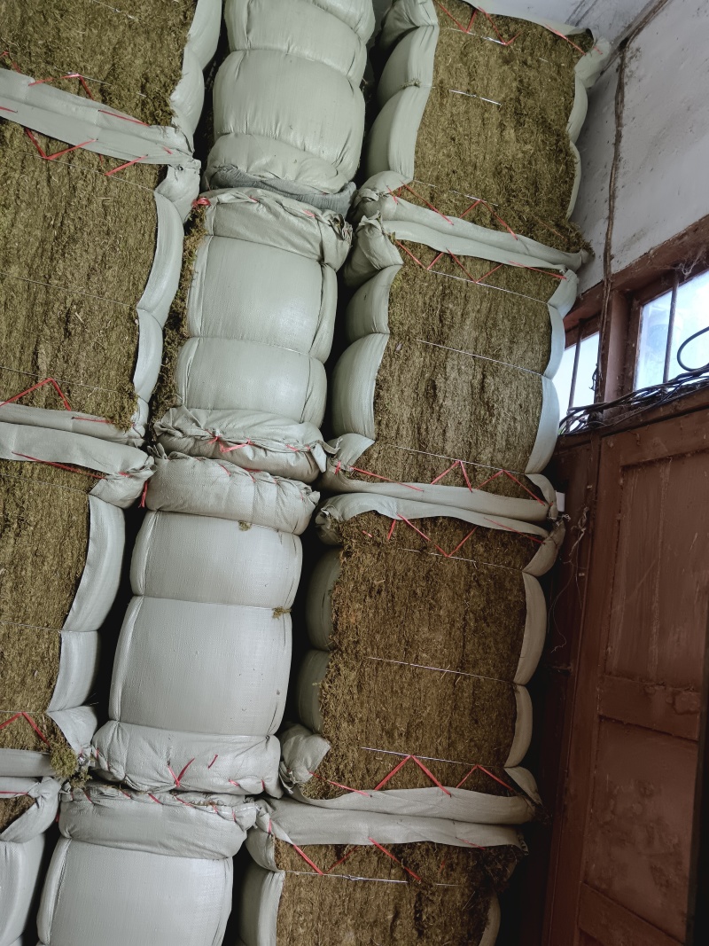 青苔十公斤定量包一手货源杂草少散装统货