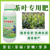 茶叶专用叶面肥催芽嫩绿含氨基酸植物茶叶肥料