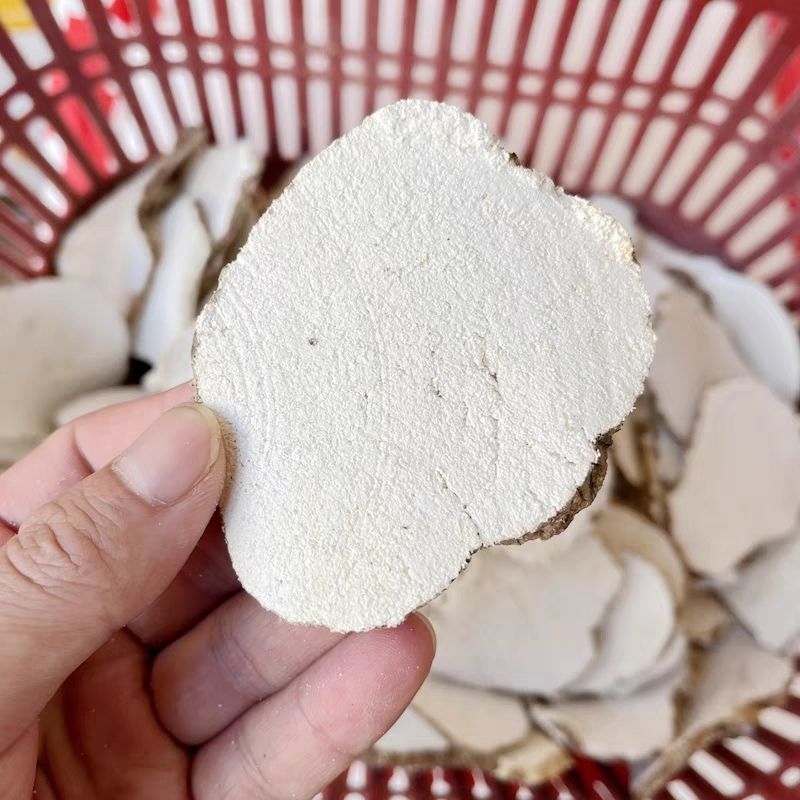 虎乳菌虎乳灵芝虎奶姑产地直发一手货源量大从优