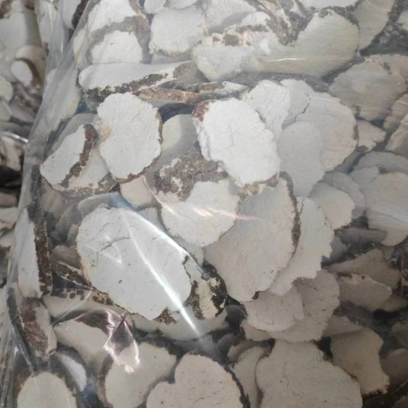 虎乳菌虎乳灵芝虎奶姑产地直发一手货源量大从优