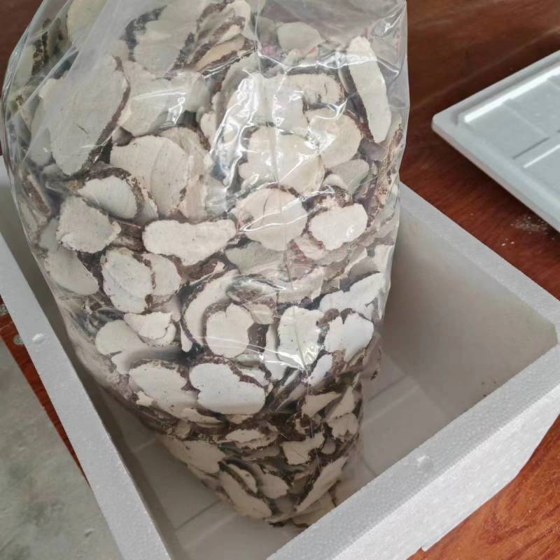 虎乳菌虎乳灵芝虎奶姑产地直发一手货源量大从优