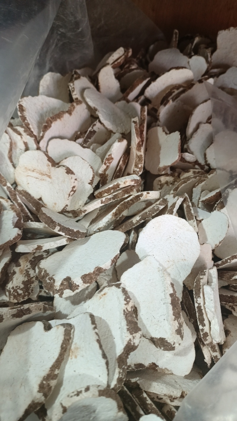 虎乳菌虎乳灵芝虎奶姑产地直发一手货源量大从优