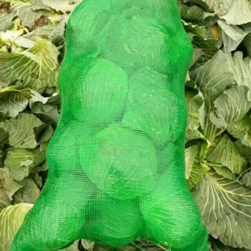 精品扁包菜甘蓝产地直发品质保证量大从优欢迎联系