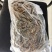 干豆角500克250克已装成小包。大货供应切段整条