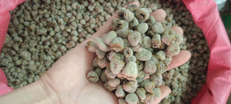 覆盆子，中药材覆盆子，新货选货，源头厂家直销