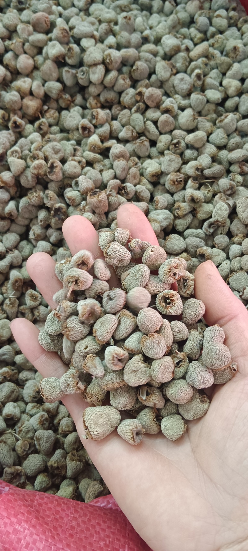 覆盆子，中药材覆盆子，新货选货，源头厂家直销