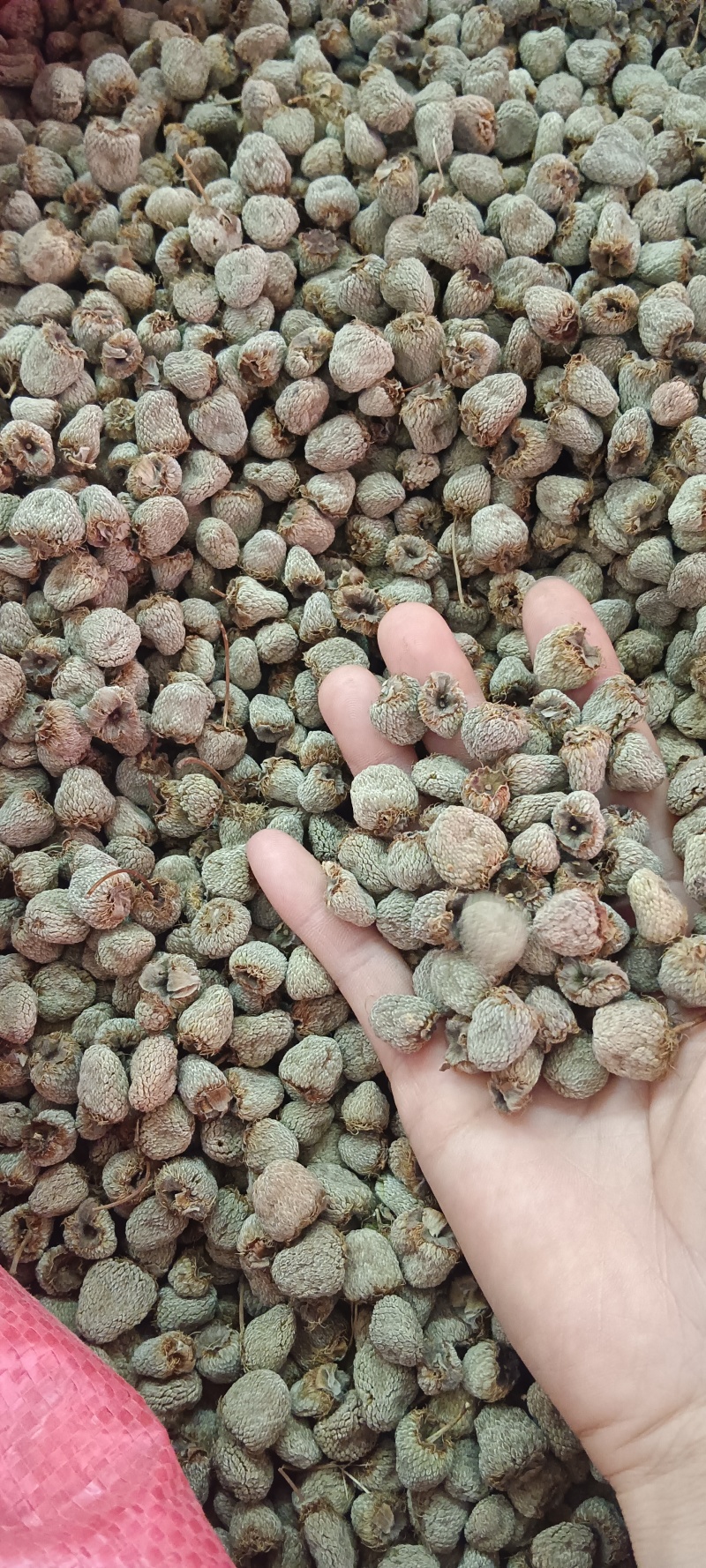 覆盆子，中药材覆盆子，新货选货，源头厂家直销