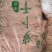精品萝卜干，产地直销，诚信经营，大量从优，欢迎订购