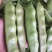 油亮油豆角