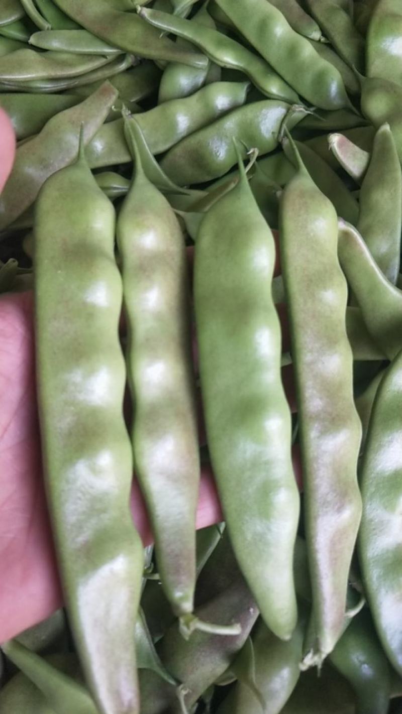 油亮油豆角