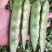 油亮油豆角