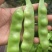 油亮油豆角