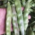 油亮油豆角