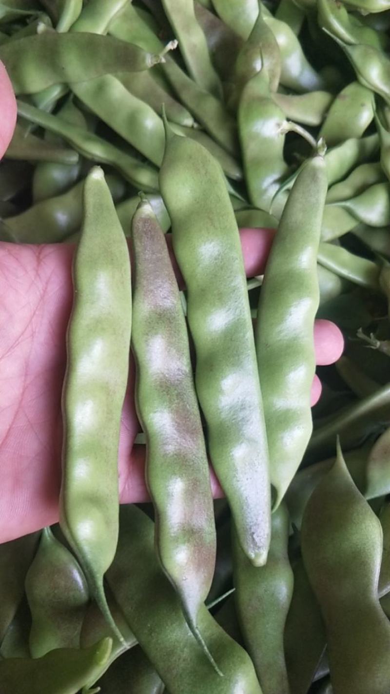 油亮油豆角
