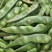 油亮油豆角