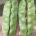 油亮油豆角