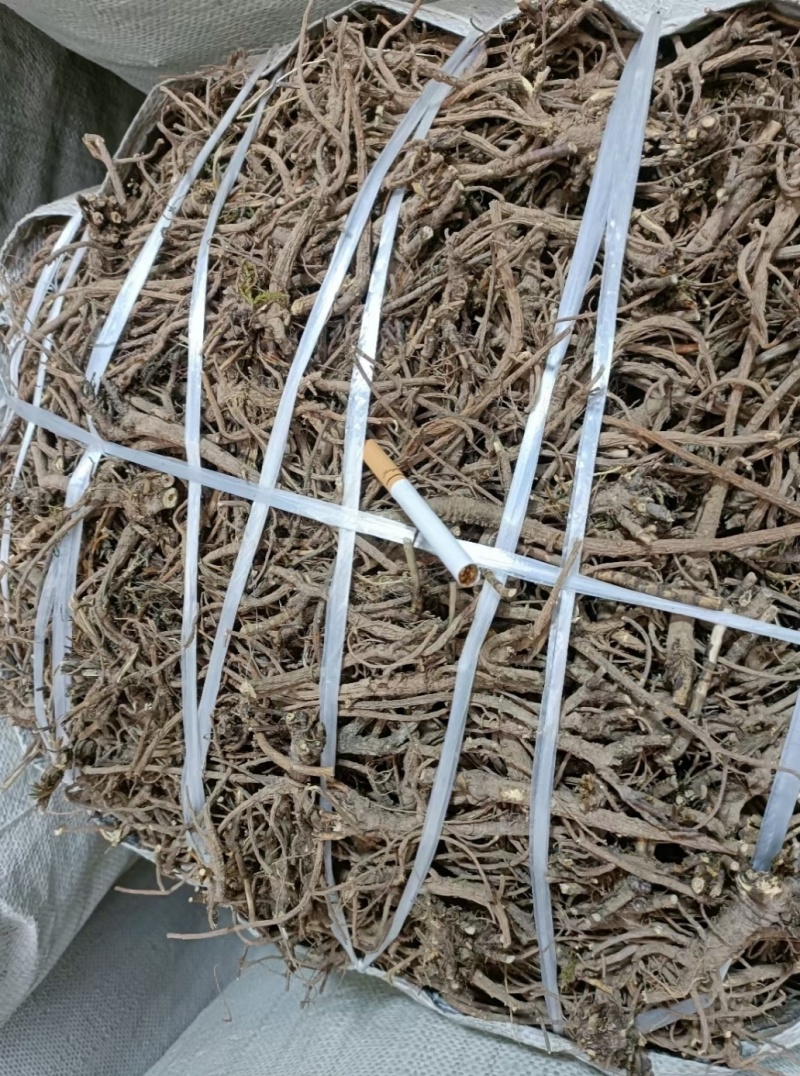 柴胡123过分，柴胡，野生，甘肃产地