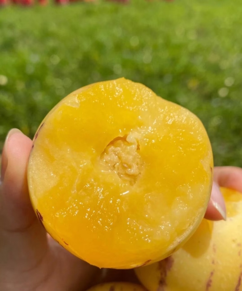 云南人参果清甜多汁水分特别多，电商，市场，团购量大从优