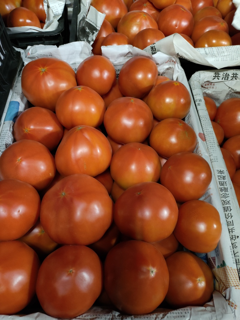 本地菜番茄什邡