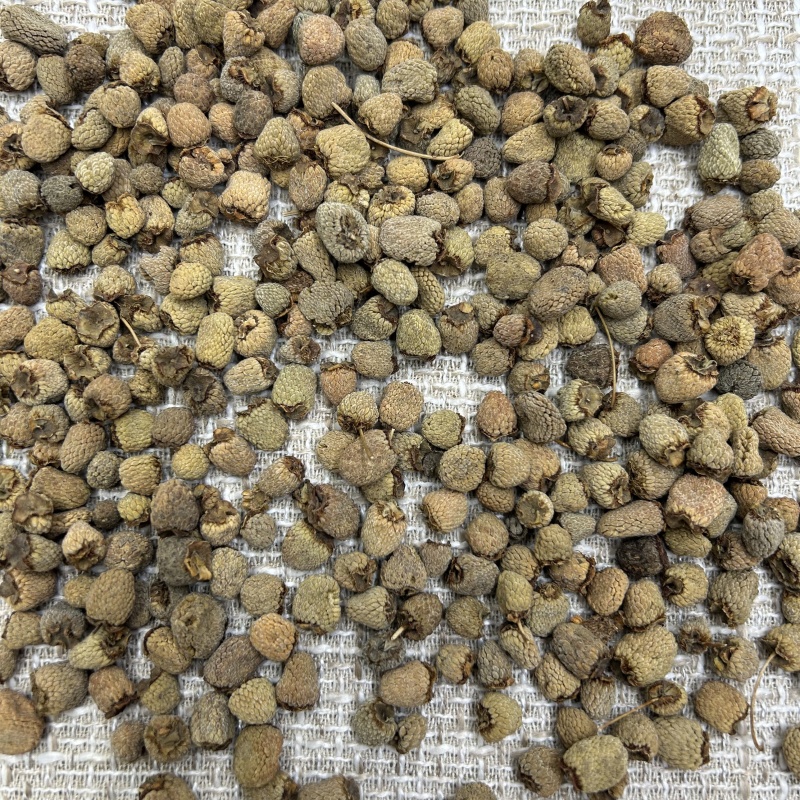 覆盆子大颗粒覆盆子浙江散装选货中药材批发大量批发各种规格