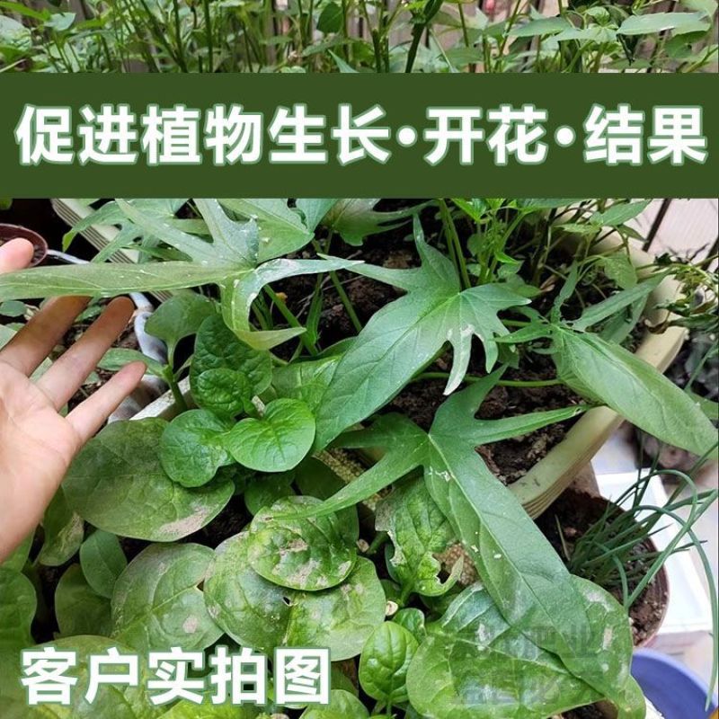 南阳纯鸡粪发酵有机肥料种菜家用营养土纯度高水分少