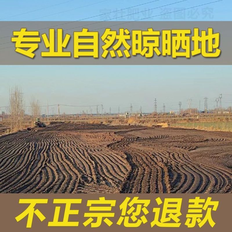 南阳纯鸡粪发酵有机肥料种菜家用营养土纯度高水分少