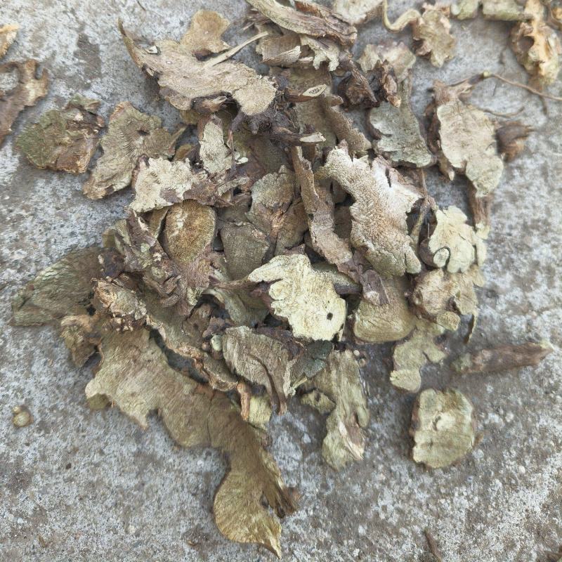 野生香茶菜根铁菱角产地一手货源