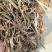 花生秧草料