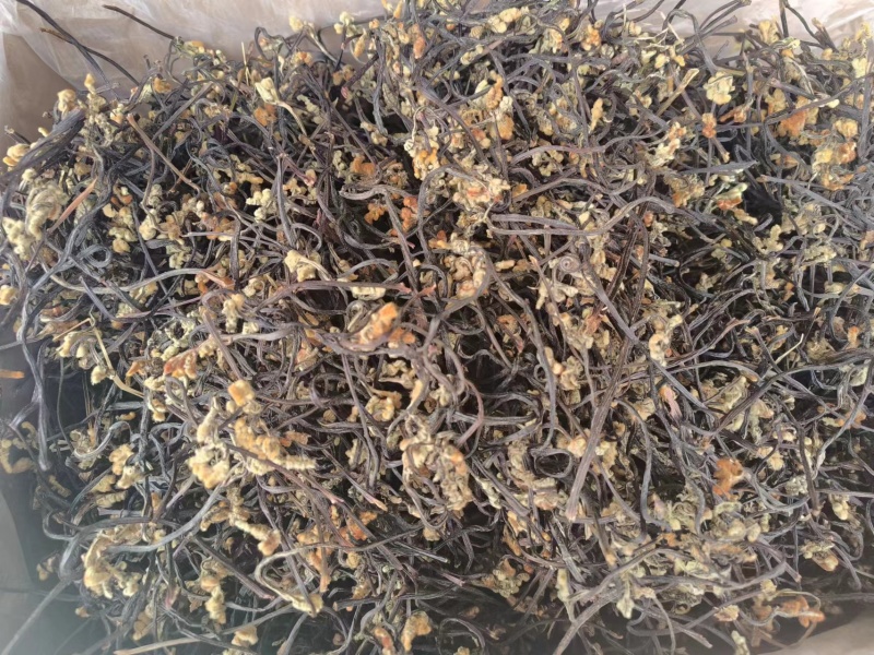 云南野生蕨菜干_自然晒干