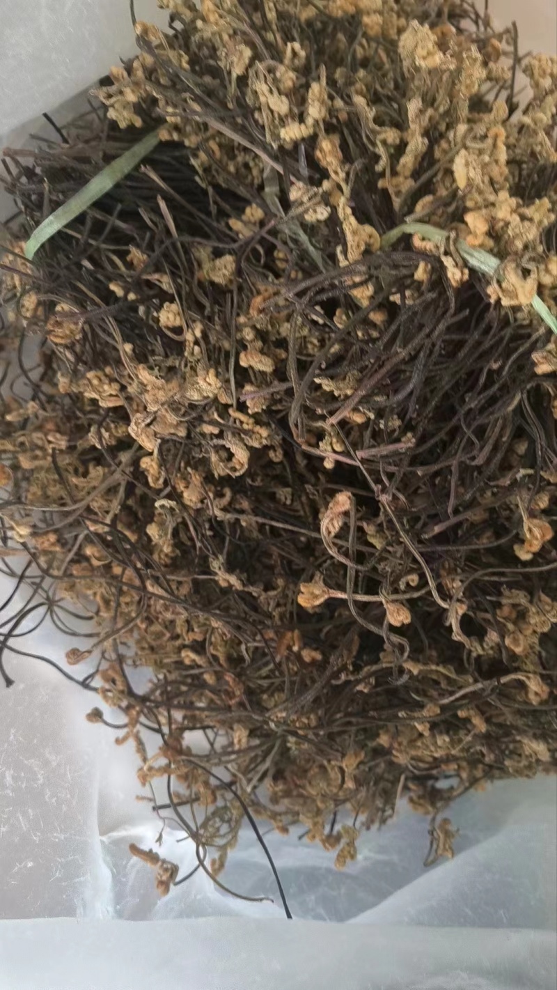 云南野生蕨菜干_自然晒干