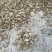 野生香茶菜根精选货的质量