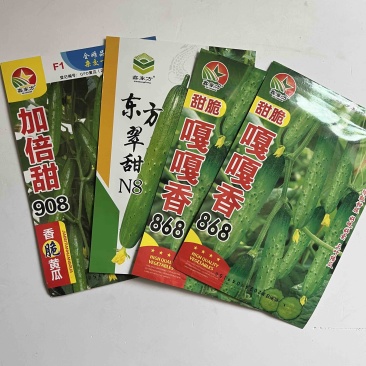 加倍甜908水果黄瓜种子嘎嘎香，黑刺，强磁品种种子