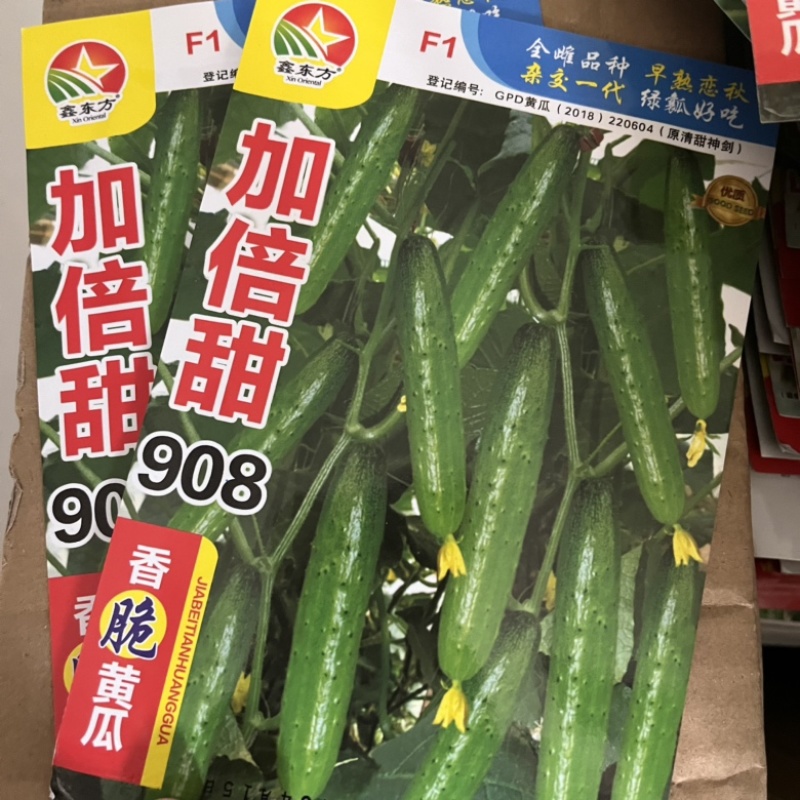 加倍甜908水果黄瓜种子嘎嘎香，黑刺，强磁品种种子