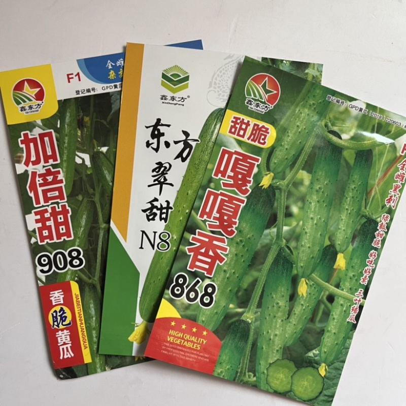 加倍甜908水果黄瓜种子嘎嘎香，黑刺，强磁品种种子