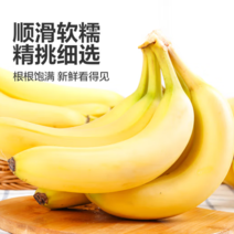 【促销】云南高山甜糯大香蕉自然熟薄皮整箱青皮批发非芭蕉小