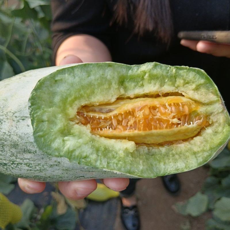 羊角蜜