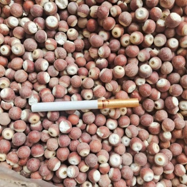 芡实欢迎电话咨询