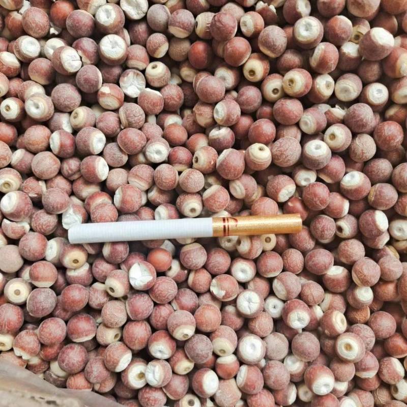芡实欢迎电话咨询